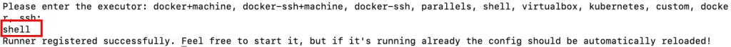 Please enter the executor: docker+machine, docker—ssh+machine, docker—ssh, parallels, shell, virtu 
shell 